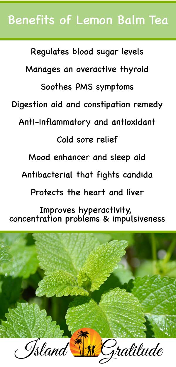 Discover the many benefits of lemon balm tea and essential oils #lemonbalm #tea #essentialoils