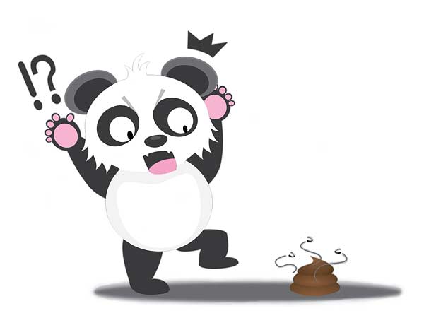 Panda bear poop detox diet isn't a real thing- phew!